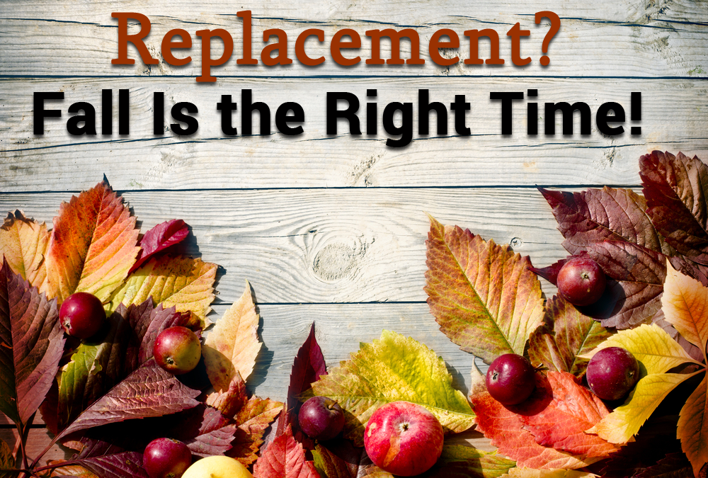 Thinking of a Roof Replacement? Fall Is the Right Time!